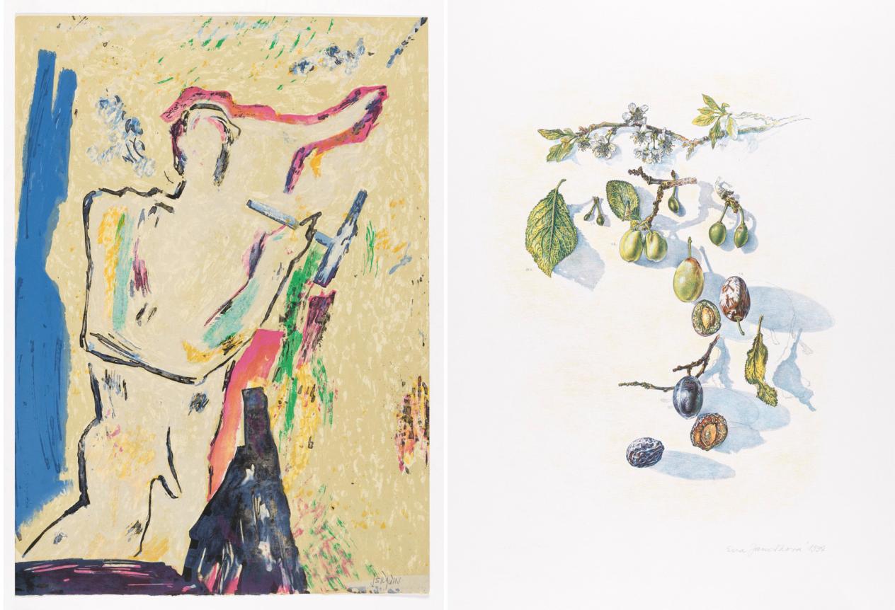 Zonder titel (Eva Janošková & Rudolf Broulim) en Zonder titel (Jean Bilquin & Rudolf Broulim)