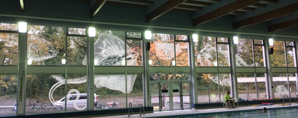 bestickering op ramen zwembad Plantin Moretus