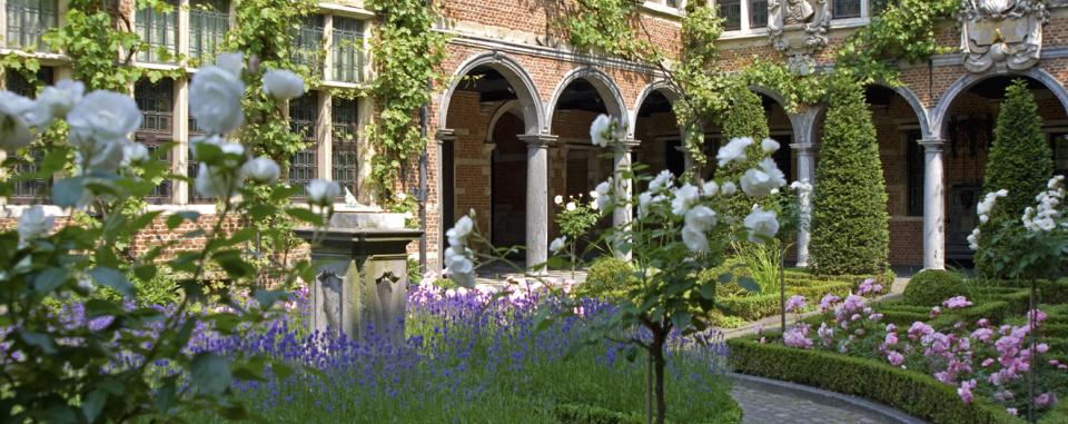 de binnentuin in bloei