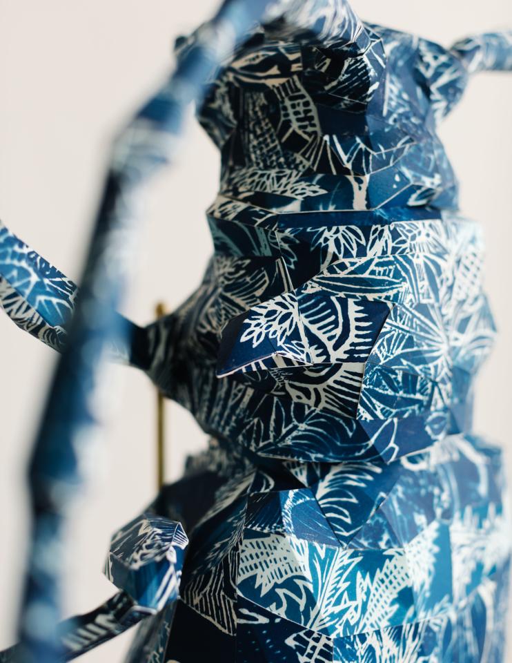 Impressed by Plantin detail werk Axel Goossens