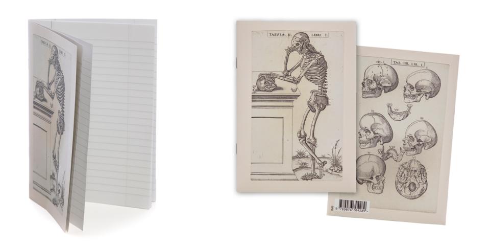 Shop Museum Plantin-Moretus: Schrift Anatomie