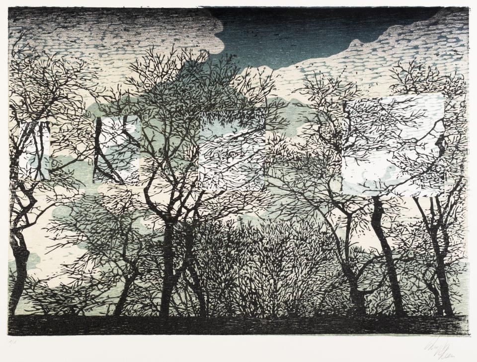 Bomen, Houtsnede, 530 x 730