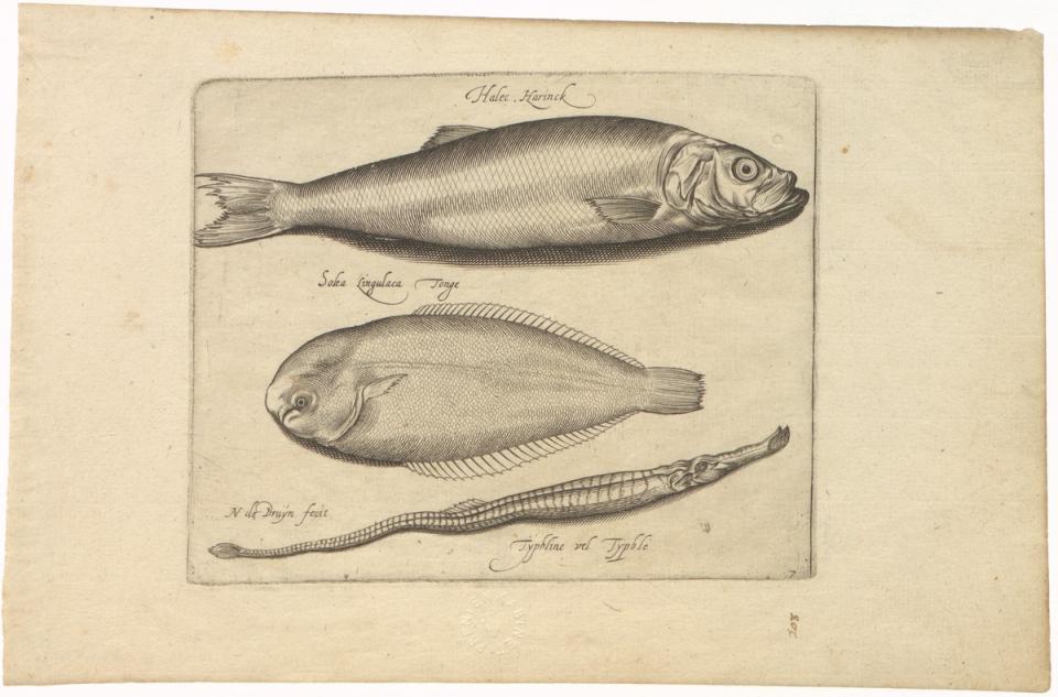 Vissen, Nicolas de Bruyn