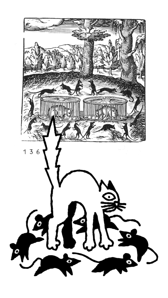 Impressed by Plantin - Jasper Van Gestel - Sketch 