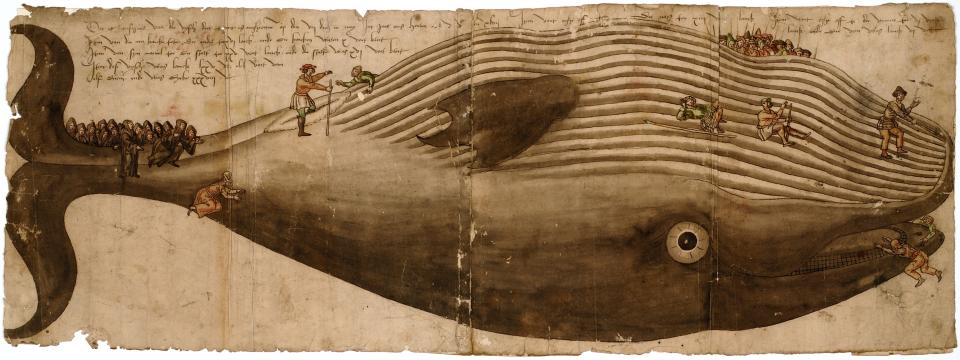 Aangespoelde vinvis te Egmond, 1547, inv. PK.OT.00826