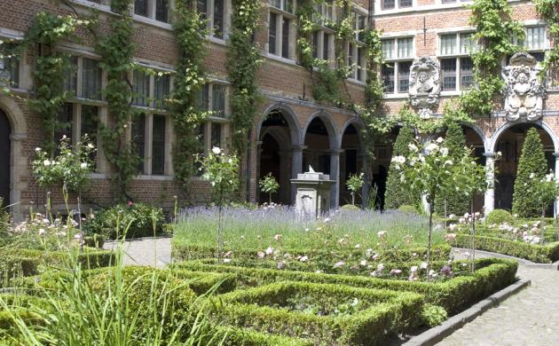 de binnentuin in bloei