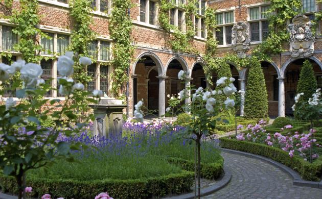 de binnentuin in bloei