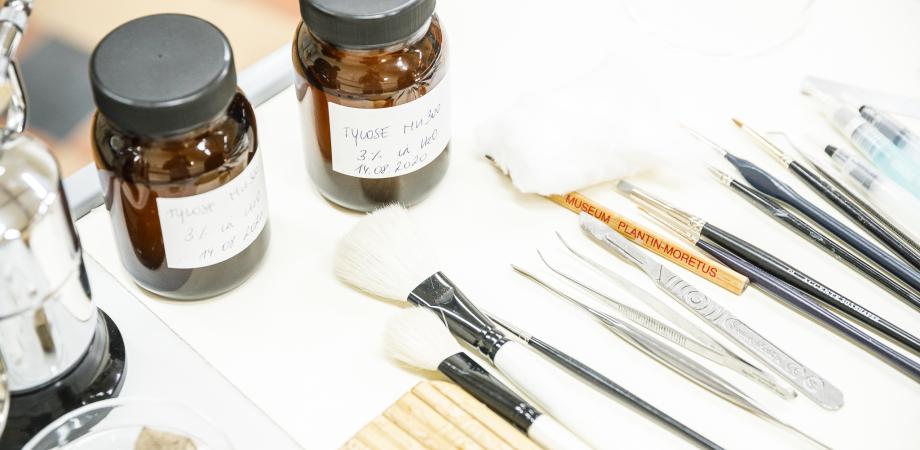 conservatiebehandeling Bononiensiskaart conservatiebehandeling Bononiensiskaart