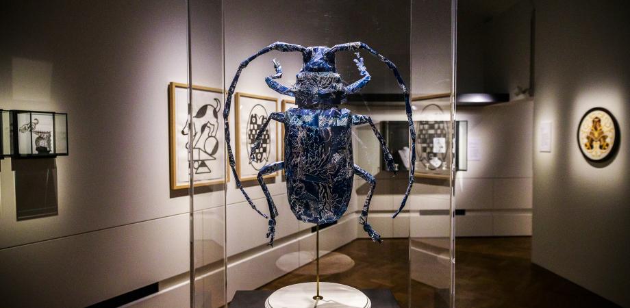 Expo 'Huis vol creatief talent'